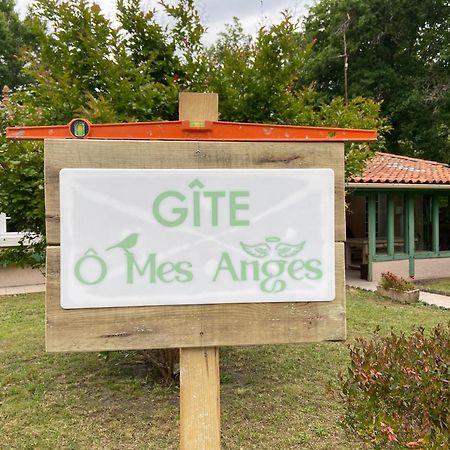 Villa 8 Personnes O Mes Anges Saint-Julien-en-Born Ngoại thất bức ảnh